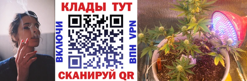 Купить Марихуана Галлюциногенные грибы ЭКСТАЗИ Меф мяу мяу КОКАИН СК Саров