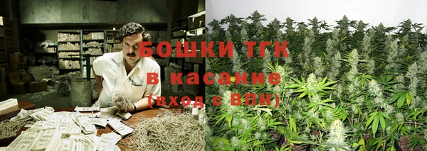молекула духа Горно-Алтайск