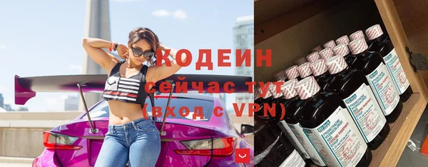мдпв Горнозаводск