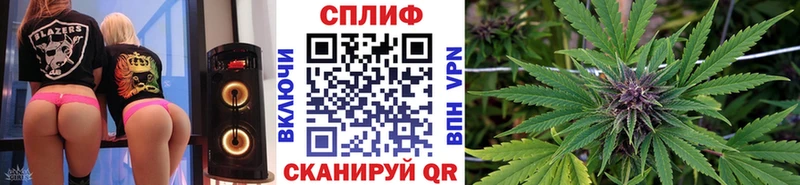 Купить где  Саров  МАРИХУАНА планчик 